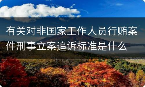 有关对非国家工作人员行贿案件刑事立案追诉标准是什么