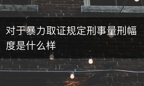 对于暴力取证规定刑事量刑幅度是什么样