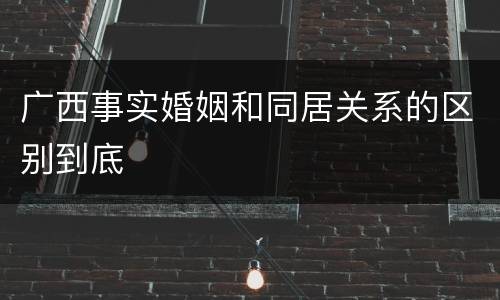广西事实婚姻和同居关系的区别到底