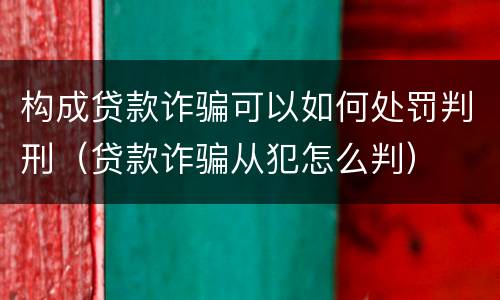 构成贷款诈骗可以如何处罚判刑（贷款诈骗从犯怎么判）