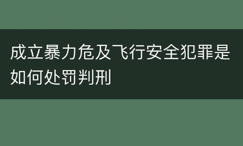 成立暴力危及飞行安全犯罪是如何处罚判刑