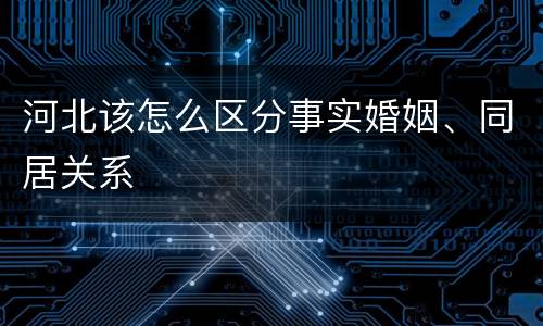 河北该怎么区分事实婚姻、同居关系