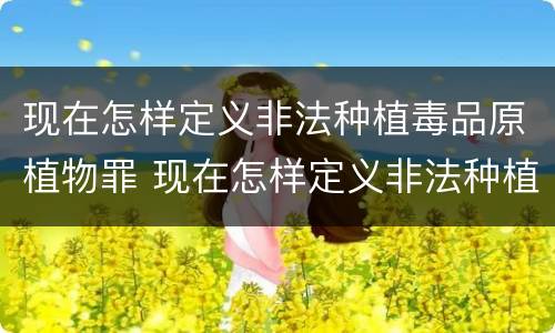 现在怎样定义非法种植毒品原植物罪 现在怎样定义非法种植毒品原植物罪行