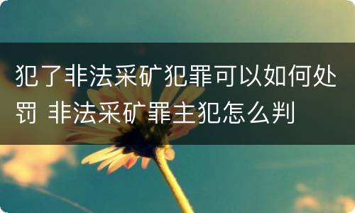 犯了非法采矿犯罪可以如何处罚 非法采矿罪主犯怎么判