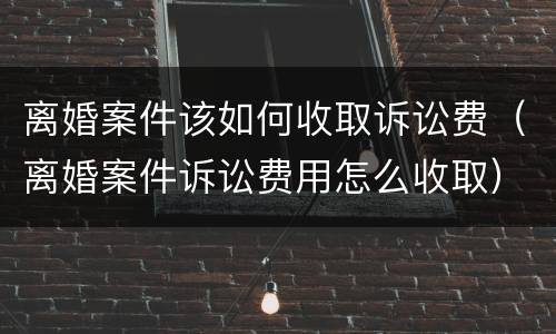 离婚案件该如何收取诉讼费（离婚案件诉讼费用怎么收取）