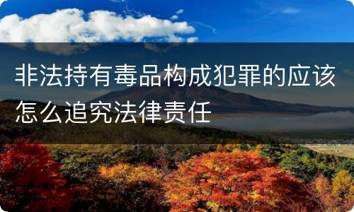 非法持有毒品构成犯罪的应该怎么追究法律责任
