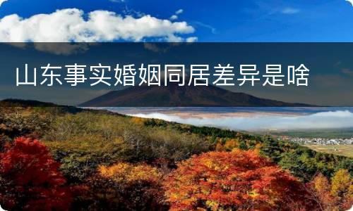 山东事实婚姻同居差异是啥