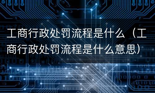 工商行政处罚流程是什么（工商行政处罚流程是什么意思）