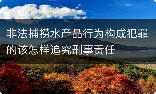 非法捕捞水产品行为构成犯罪的该怎样追究刑事责任