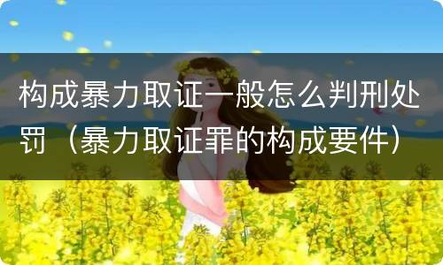 构成暴力取证一般怎么判刑处罚（暴力取证罪的构成要件）