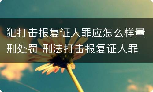 犯打击报复证人罪应怎么样量刑处罚 刑法打击报复证人罪