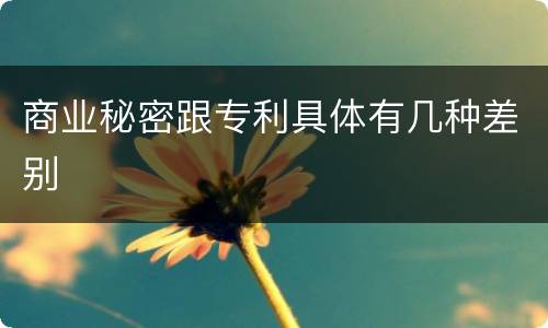 商业秘密跟专利具体有几种差别