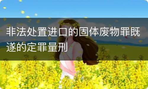 非法处置进口的固体废物罪既遂的定罪量刑