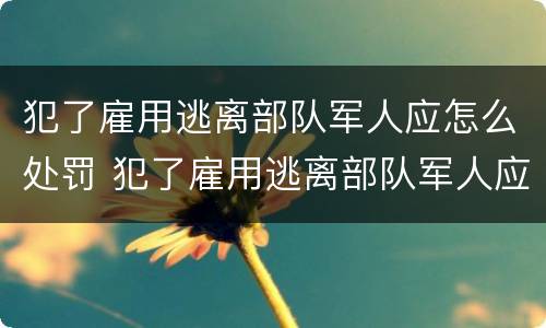 犯了雇用逃离部队军人应怎么处罚 犯了雇用逃离部队军人应怎么处罚呢