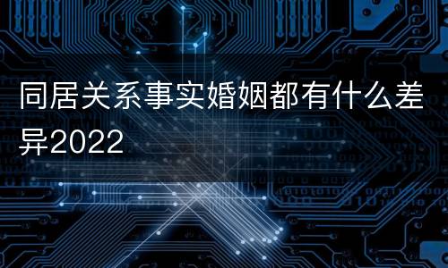 同居关系事实婚姻都有什么差异2022