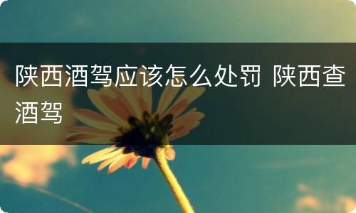 陕西酒驾应该怎么处罚 陕西查酒驾