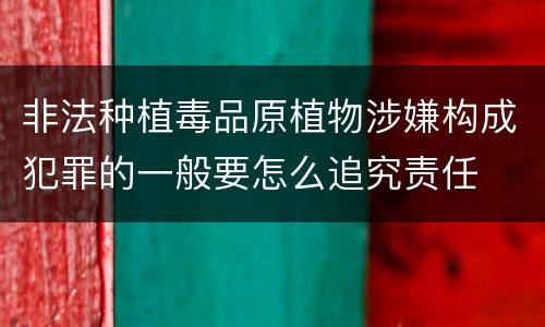 非法种植毒品原植物涉嫌构成犯罪的一般要怎么追究责任