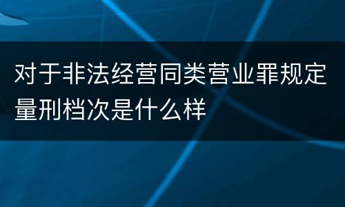 对于非法经营同类营业罪规定量刑档次是什么样