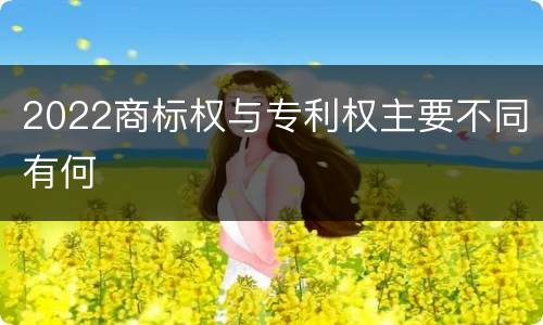 2022商标权与专利权主要不同有何
