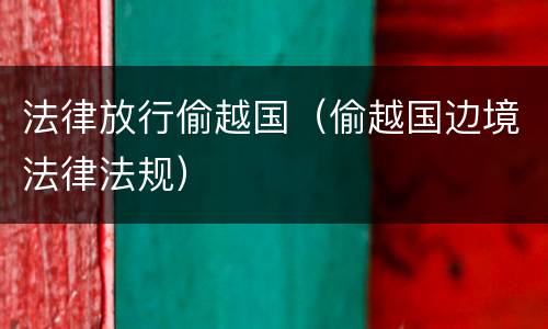 法律放行偷越国（偷越国边境法律法规）