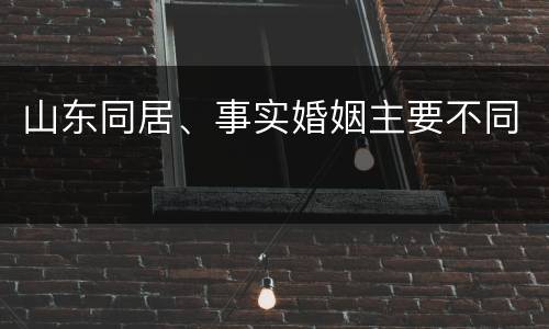 山东同居、事实婚姻主要不同