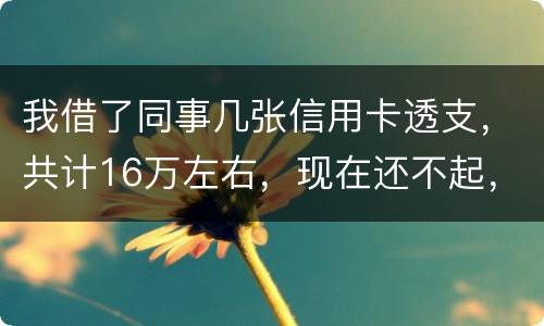 我借了同事几张信用卡透支,共计16万左右,现在还不起,要付刑事责任吗