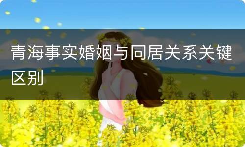 青海事实婚姻与同居关系关键区别