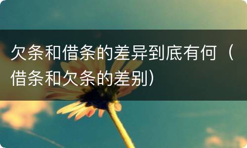 欠条和借条的差异到底有何（借条和欠条的差别）