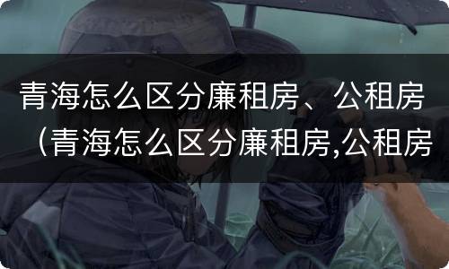 青海怎么区分廉租房、公租房（青海怎么区分廉租房,公租房呢）