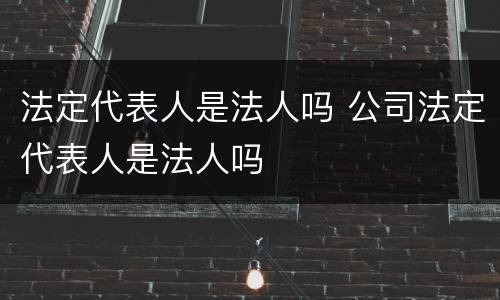 法定代表人是法人吗 公司法定代表人是法人吗