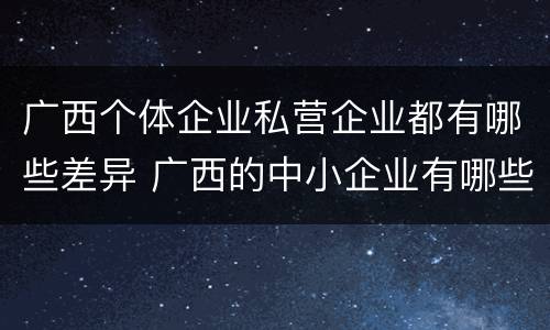 广西个体企业私营企业都有哪些差异 广西的中小企业有哪些