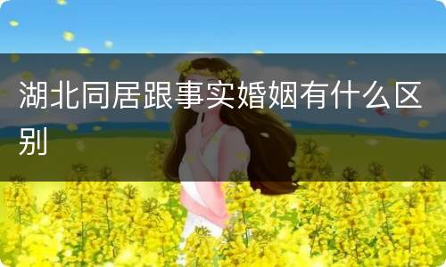 湖北同居跟事实婚姻有什么区别
