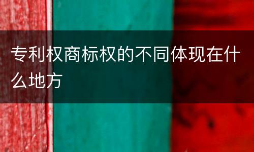 专利权商标权的不同体现在什么地方
