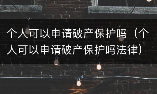 个人可以申请破产保护吗（个人可以申请破产保护吗法律）