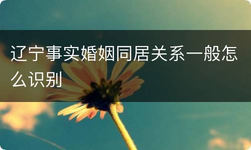 辽宁事实婚姻同居关系一般怎么识别