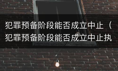 犯罪预备阶段能否成立中止（犯罪预备阶段能否成立中止执行）