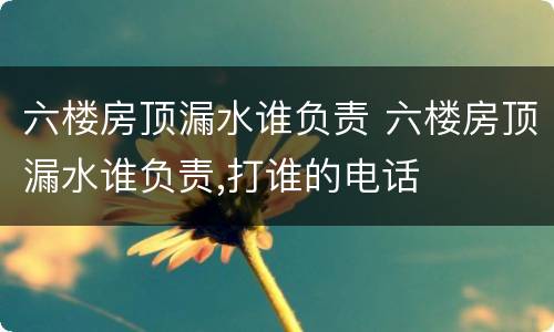 六楼房顶漏水谁负责 六楼房顶漏水谁负责,打谁的电话