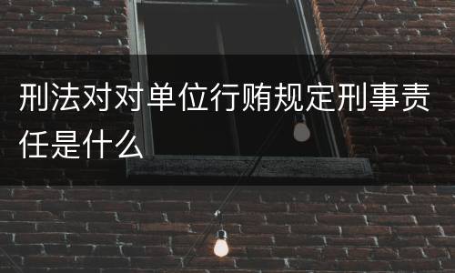 刑法对对单位行贿规定刑事责任是什么