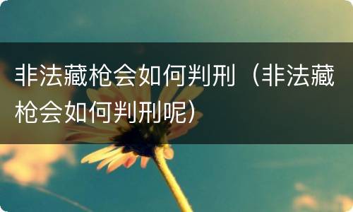 非法藏枪会如何判刑（非法藏枪会如何判刑呢）