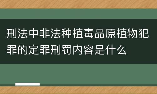 刑法中非法种植毒品原植物犯罪的定罪刑罚内容是什么