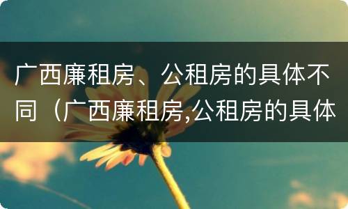 广西廉租房、公租房的具体不同（广西廉租房,公租房的具体不同点）