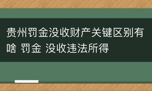 贵州罚金没收财产关键区别有啥 罚金 没收违法所得