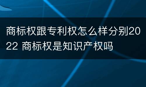 商标权跟专利权怎么样分别2022 商标权是知识产权吗