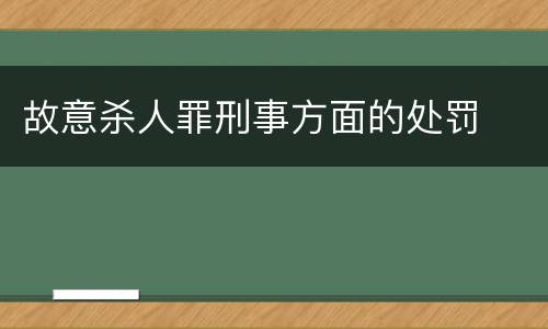 故意杀人罪刑事方面的处罚