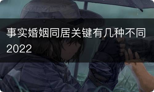 事实婚姻同居关键有几种不同2022