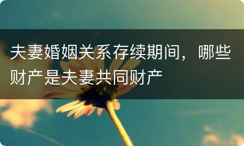 夫妻婚姻关系存续期间，哪些财产是夫妻共同财产