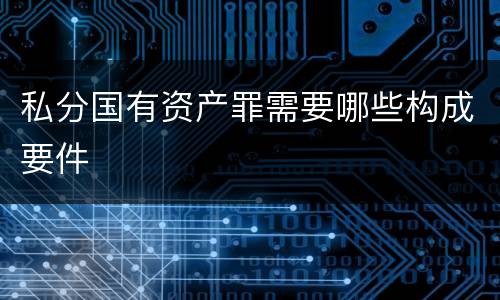 私分国有资产罪需要哪些构成要件