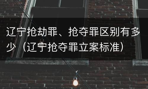 辽宁抢劫罪、抢夺罪区别有多少（辽宁抢夺罪立案标准）