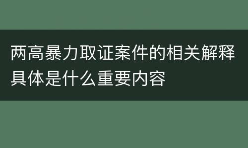 两高暴力取证案件的相关解释具体是什么重要内容