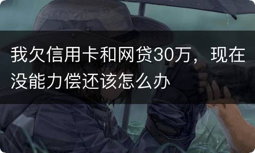 我欠信用卡和网贷30万，现在没能力偿还该怎么办
